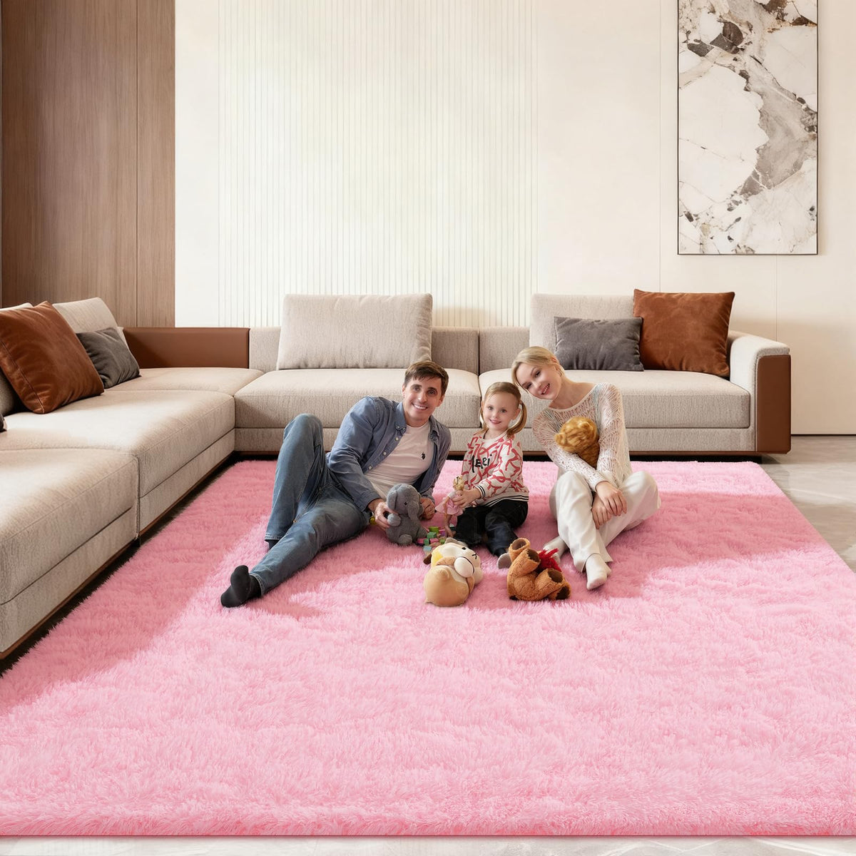Pink Rug for Bedroom, 2x3 Small Fluffy Area Rugs for Living Room