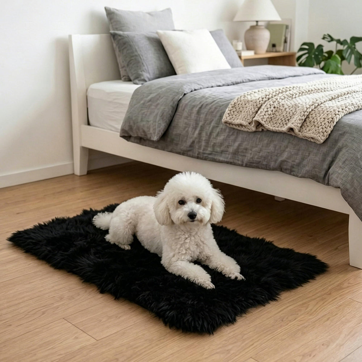 2x3 Area Rug for Bedroom Bedside, Soft Fluffy Plush Thick Rug for Living Room, Non-Slip Small Shag Rug, Non-Shedding High-Pile Indoor Floor Carpet for Kids Room Nursery Dorm Home Decor(Dark Gray)