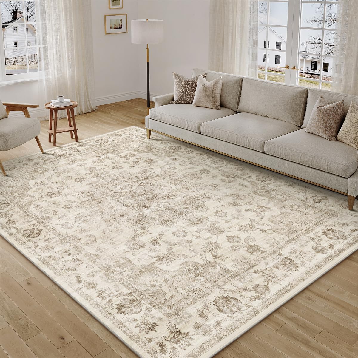 2x3 Beige Neutral Area Rug