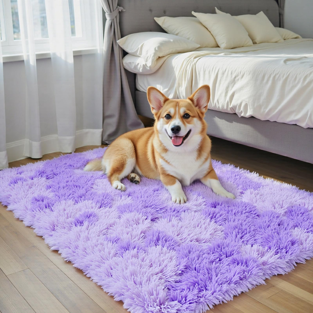 Small Shag Area Rug for Bedroom, 2x3 Cream Soft Plush Carpet