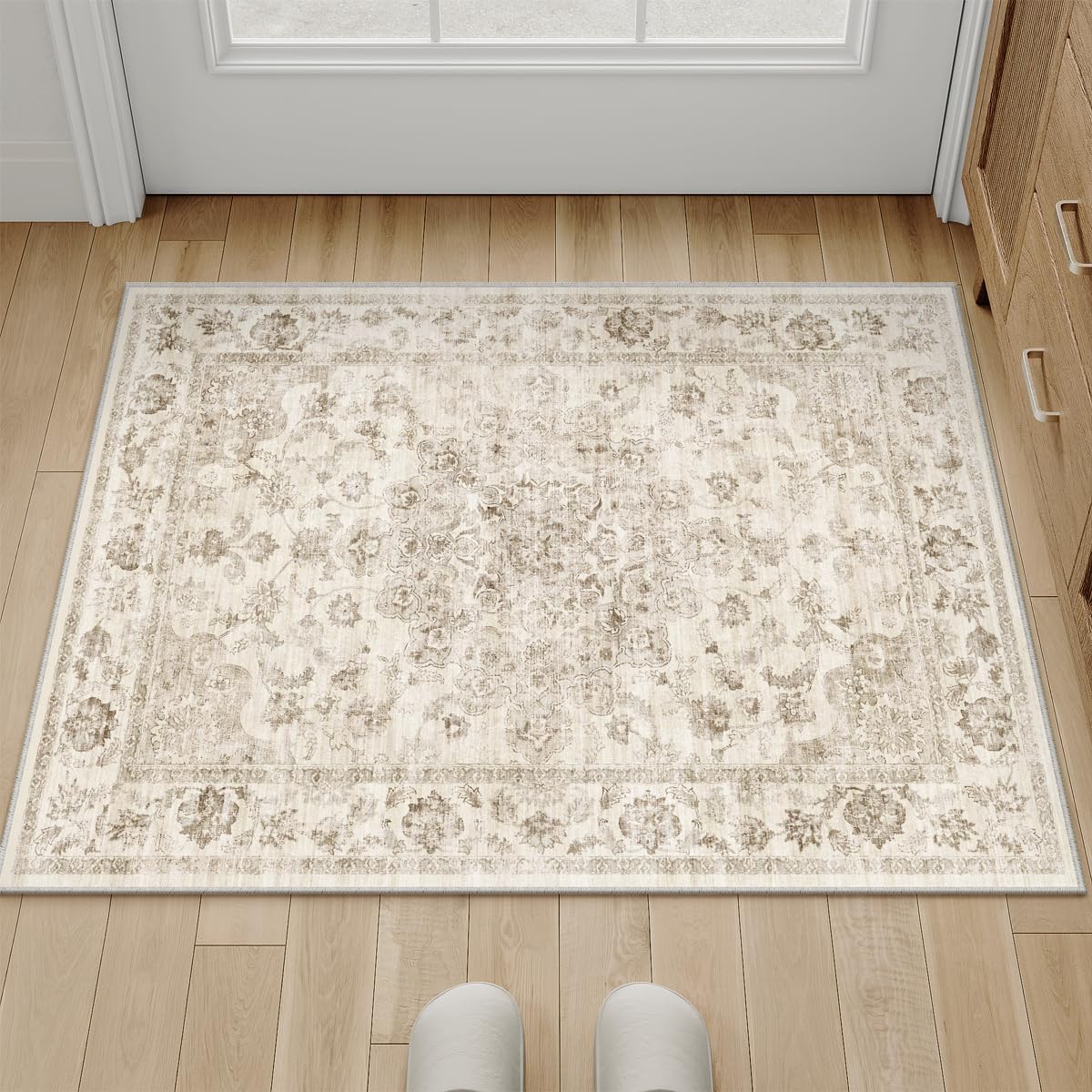2x3 Beige Neutral Area Rug