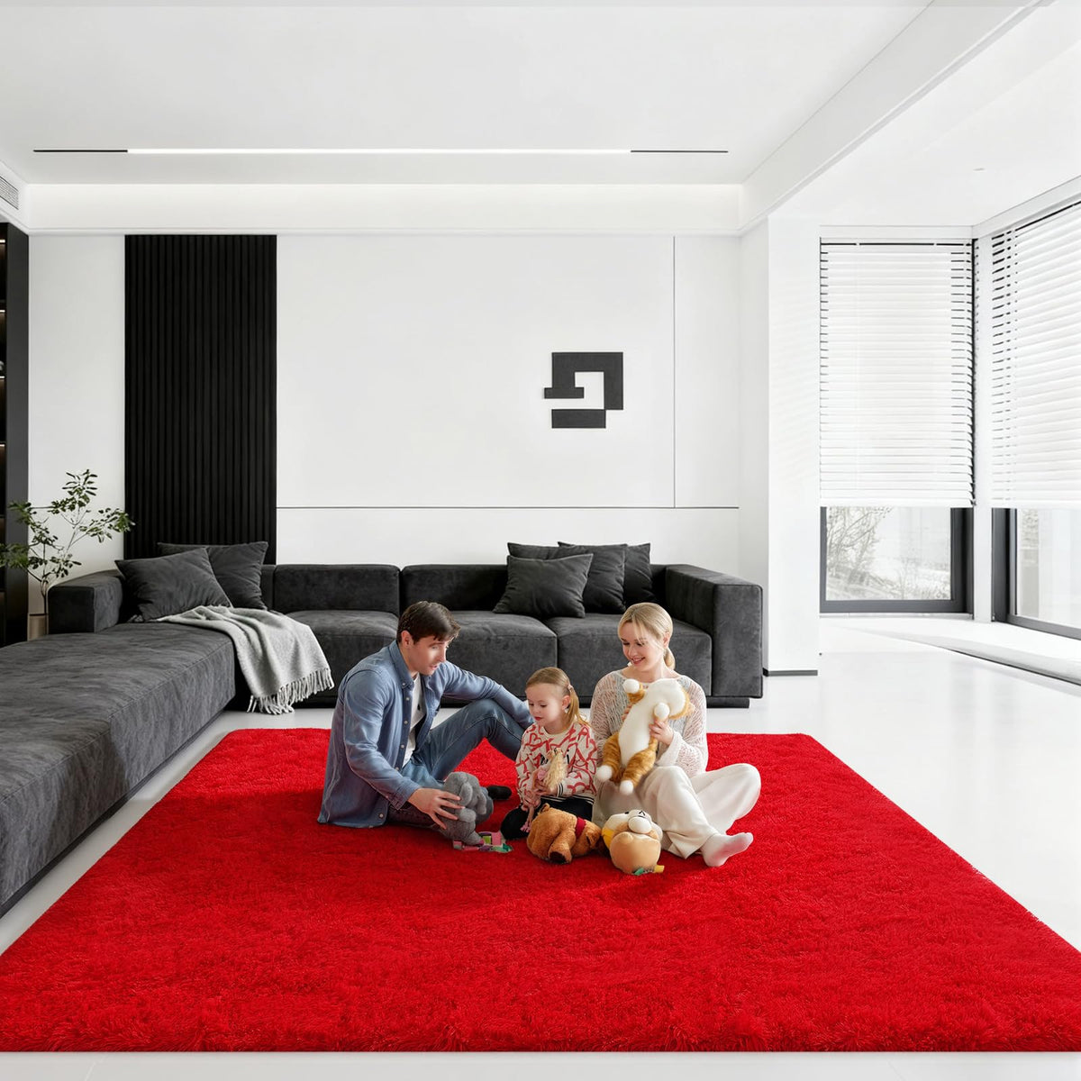 Pink Rug for Bedroom, 2x3 Small Fluffy Area Rugs for Living Room