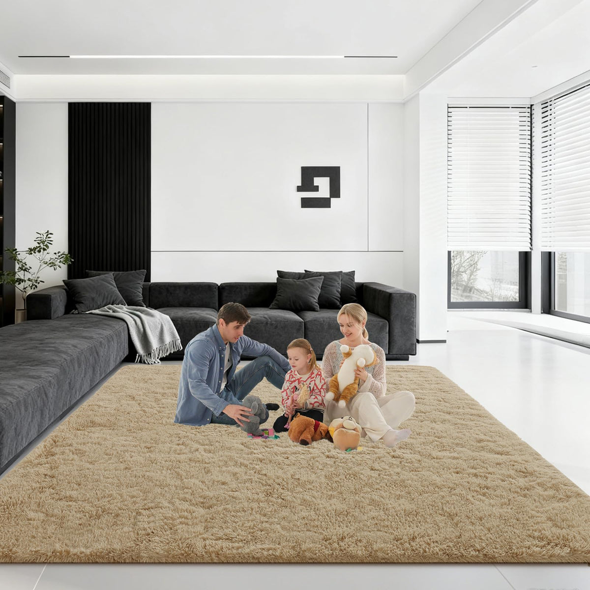 Pink Rug for Bedroom, 2x3 Small Fluffy Area Rugs for Living Room