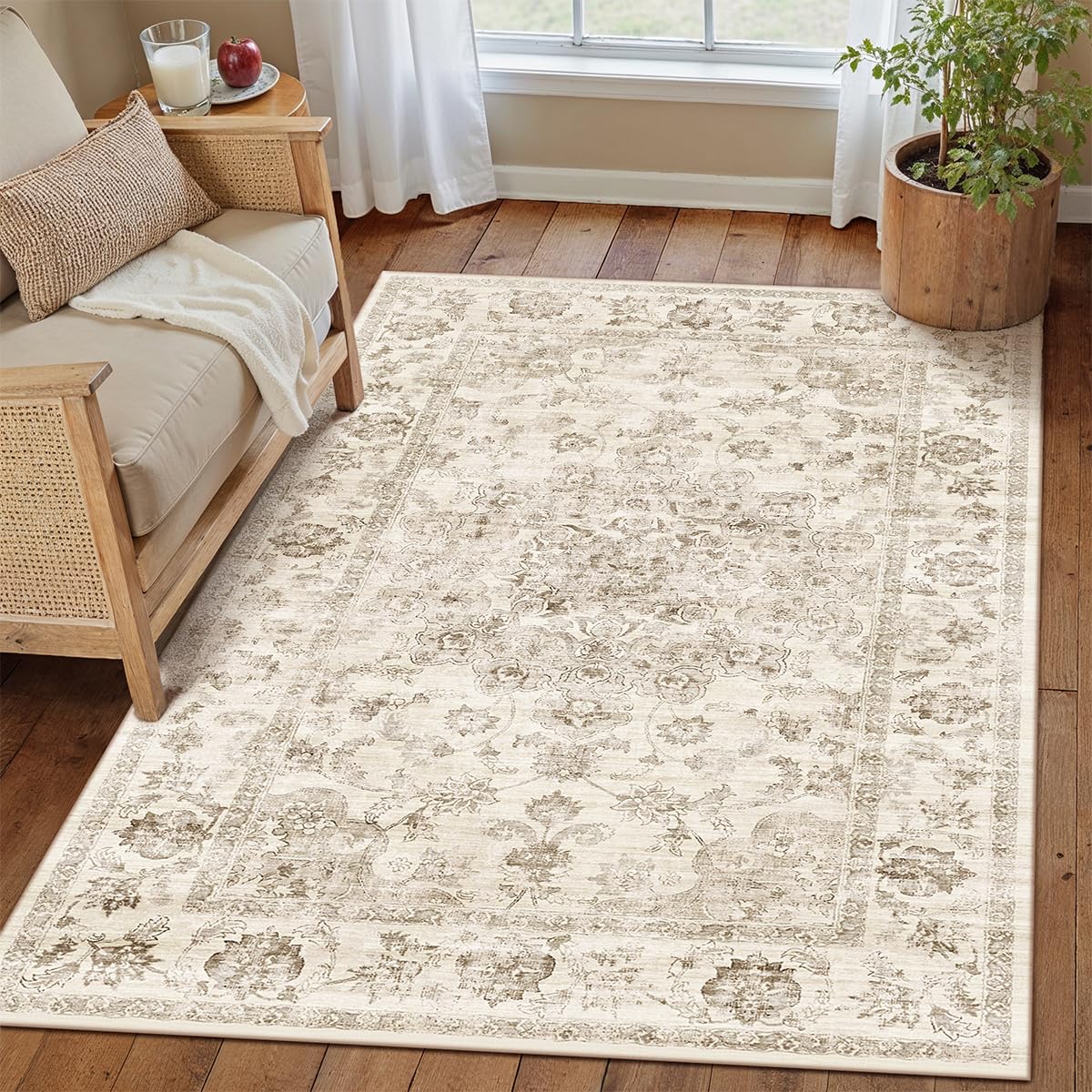 2x3 Beige Neutral Area Rug