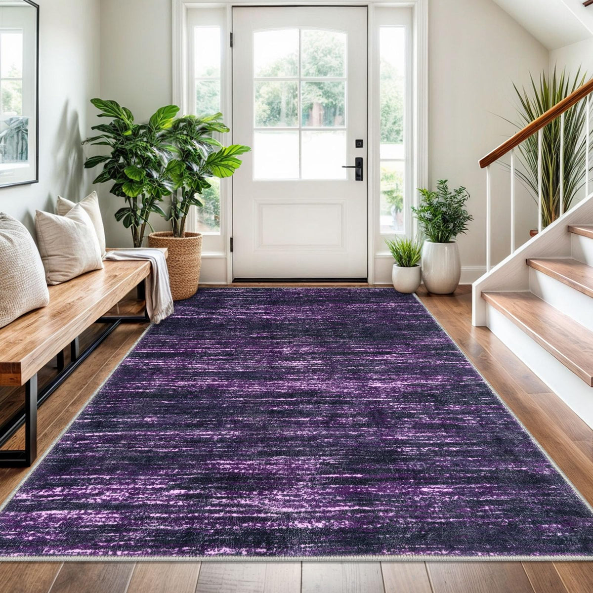 SIILOOM 3x5 Washable Area Rug Non Slip Door Mat Indoor for Entryway Bedside