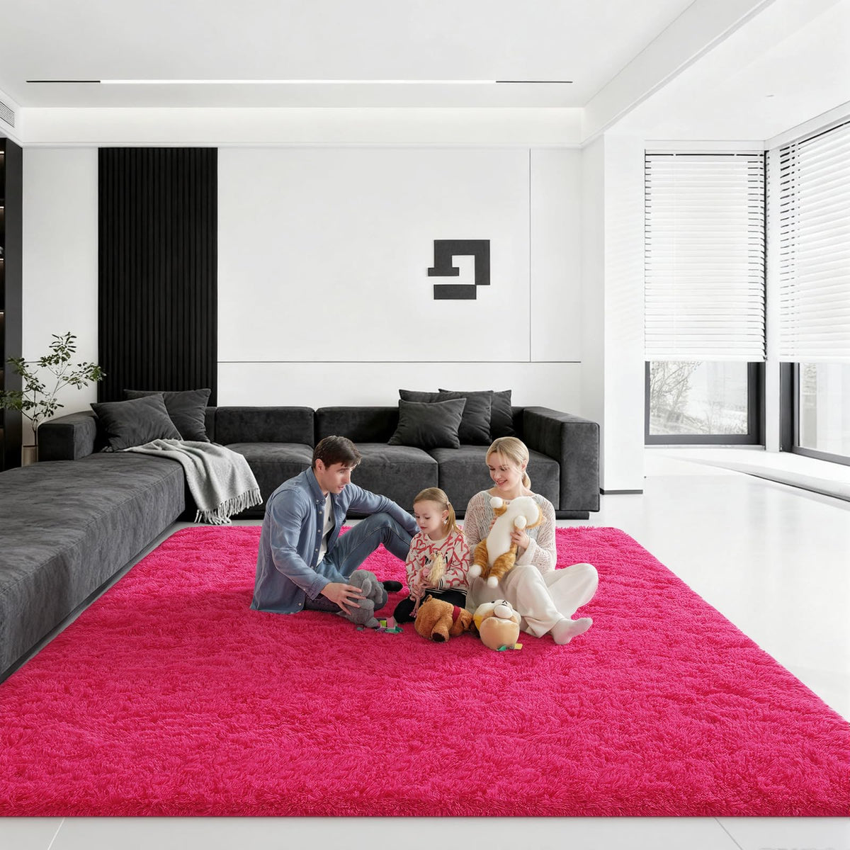 Pink Rug for Bedroom, 2x3 Small Fluffy Area Rugs for Living Room