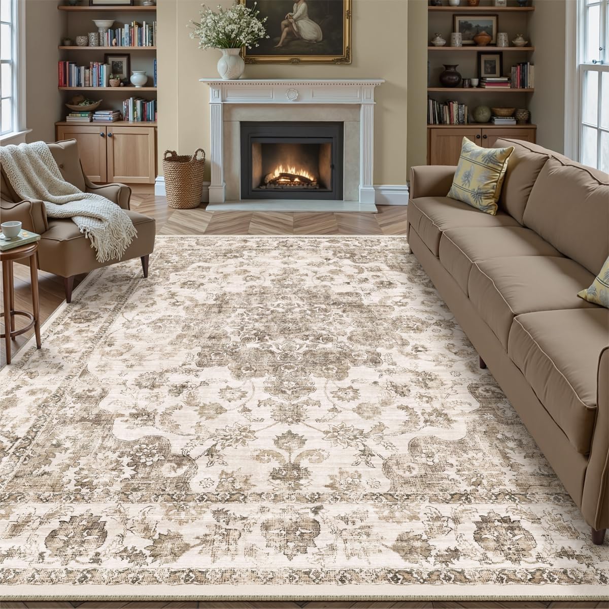 2x3 Beige Neutral Area Rug
