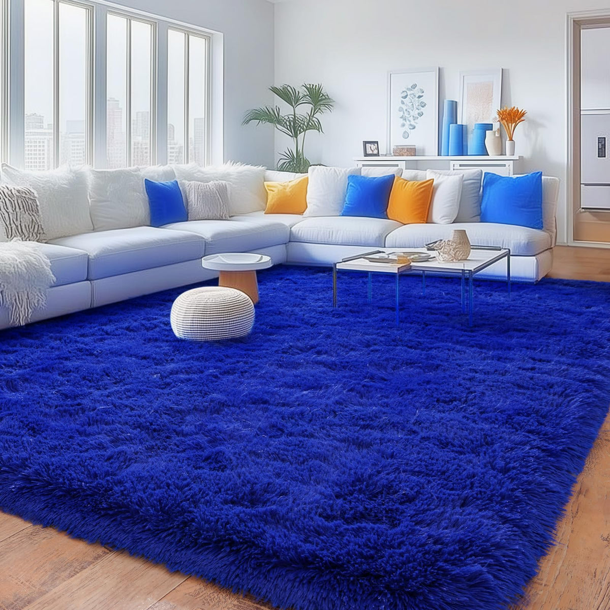 Small Black Area Rug, 2x3 Rug for Bedroom Shaggy Throw Rugs for Dorm Rug, Soft Shag Carpet for Kids Room, Plush Comfy Fluffy Bedside Rug for Home Decor Aesthetic