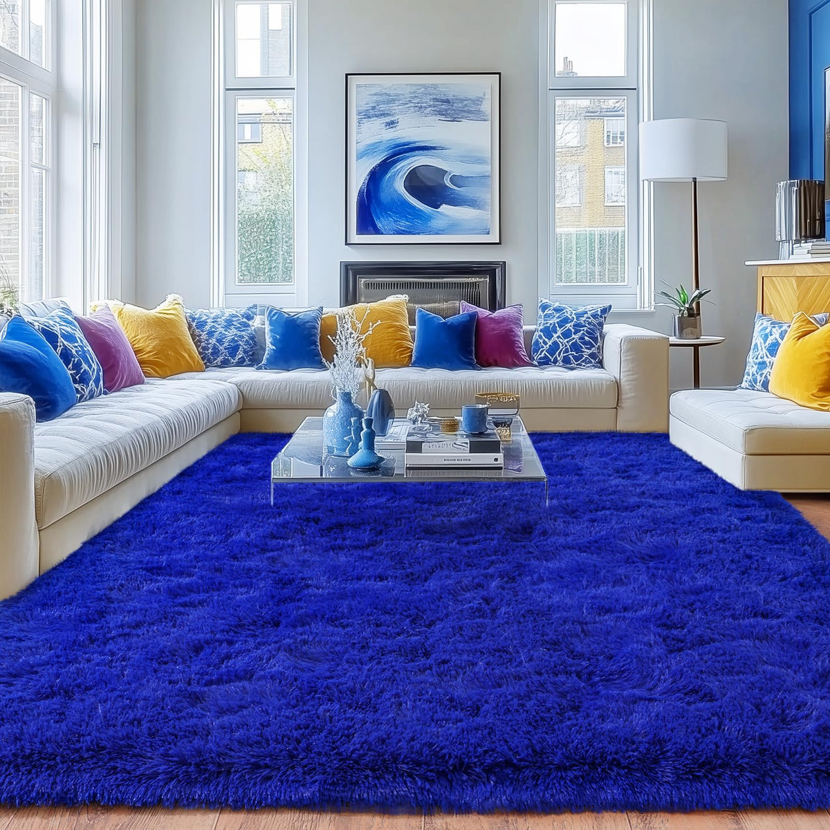 Small Black Area Rug, 2x3 Rug for Bedroom Shaggy Throw Rugs for Dorm Rug, Soft Shag Carpet for Kids Room, Plush Comfy Fluffy Bedside Rug for Home Decor Aesthetic