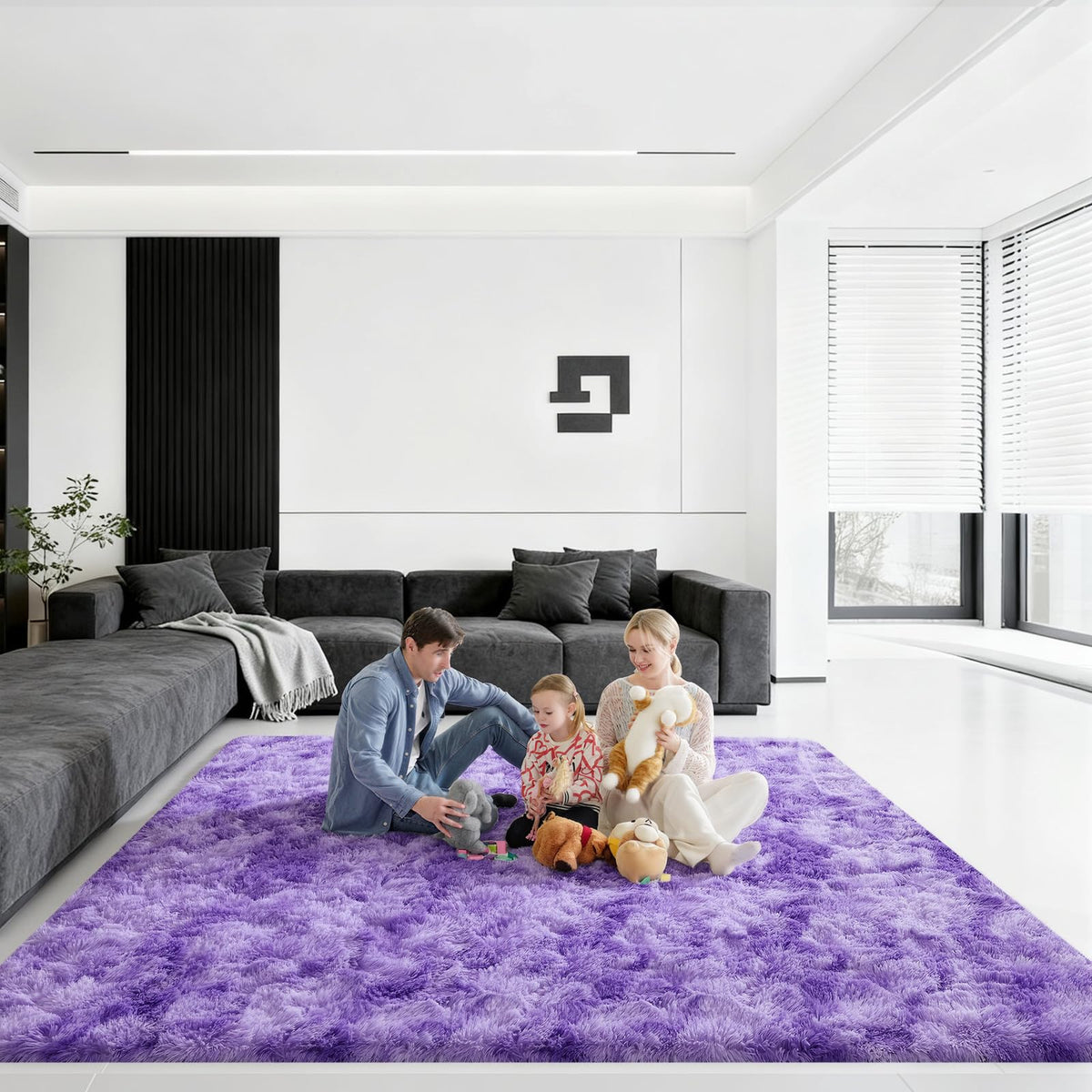 Pink Rug for Bedroom, 2x3 Small Fluffy Area Rugs for Living Room