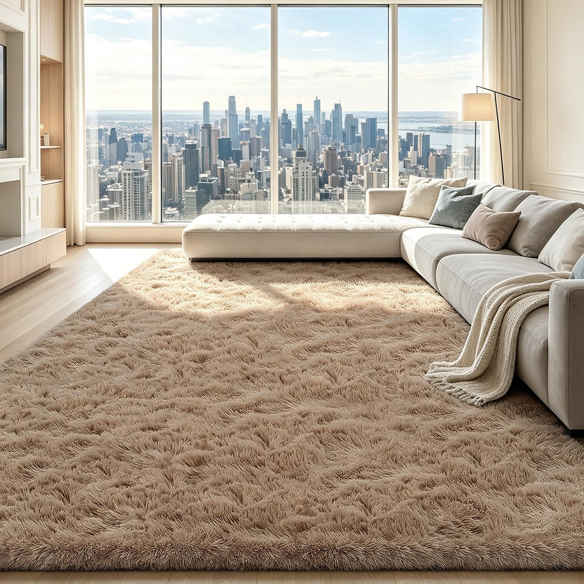 Beige 2x4 Area Rugs for Bedroom, Fluffy Shag Rug Small Rug Bedside Carpet
