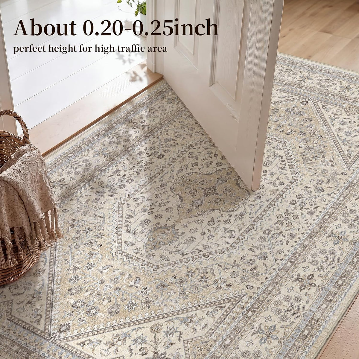 2x3 Washable Entryway Area Rug - Non-Slip Boho Throw Rugs Beige Gray