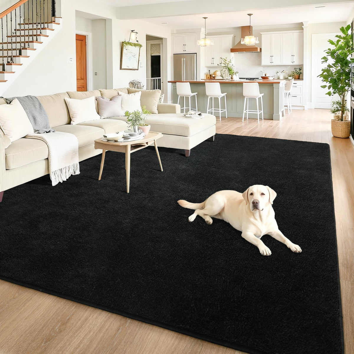 Chicrug Black 2x6 Minimalist Washable Runner Rugs for Hallway Entryway