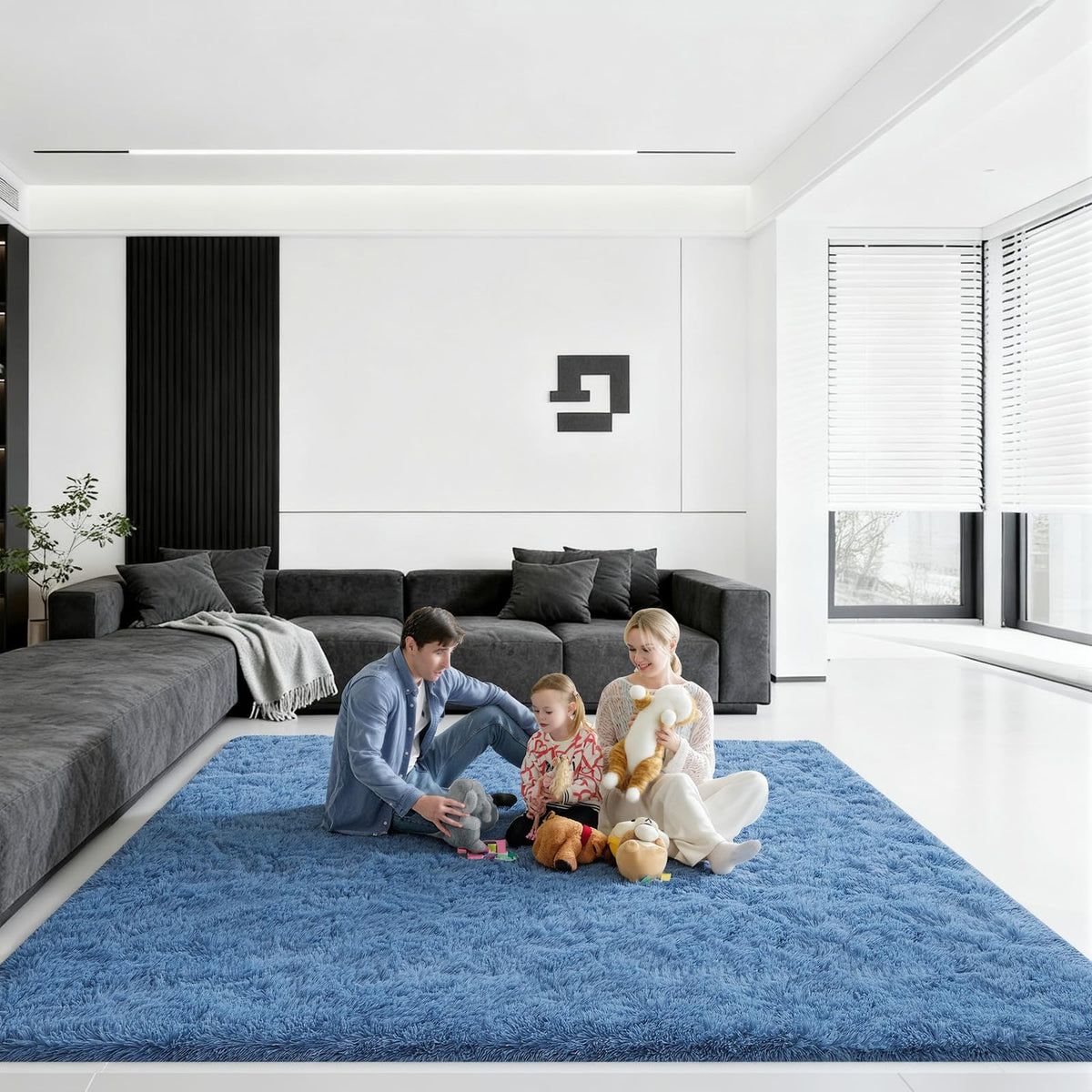 Pink Rug for Bedroom, 2x3 Small Fluffy Area Rugs for Living Room