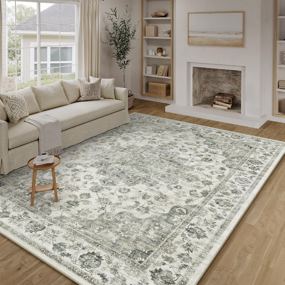 2x3 Beige Neutral Area Rug