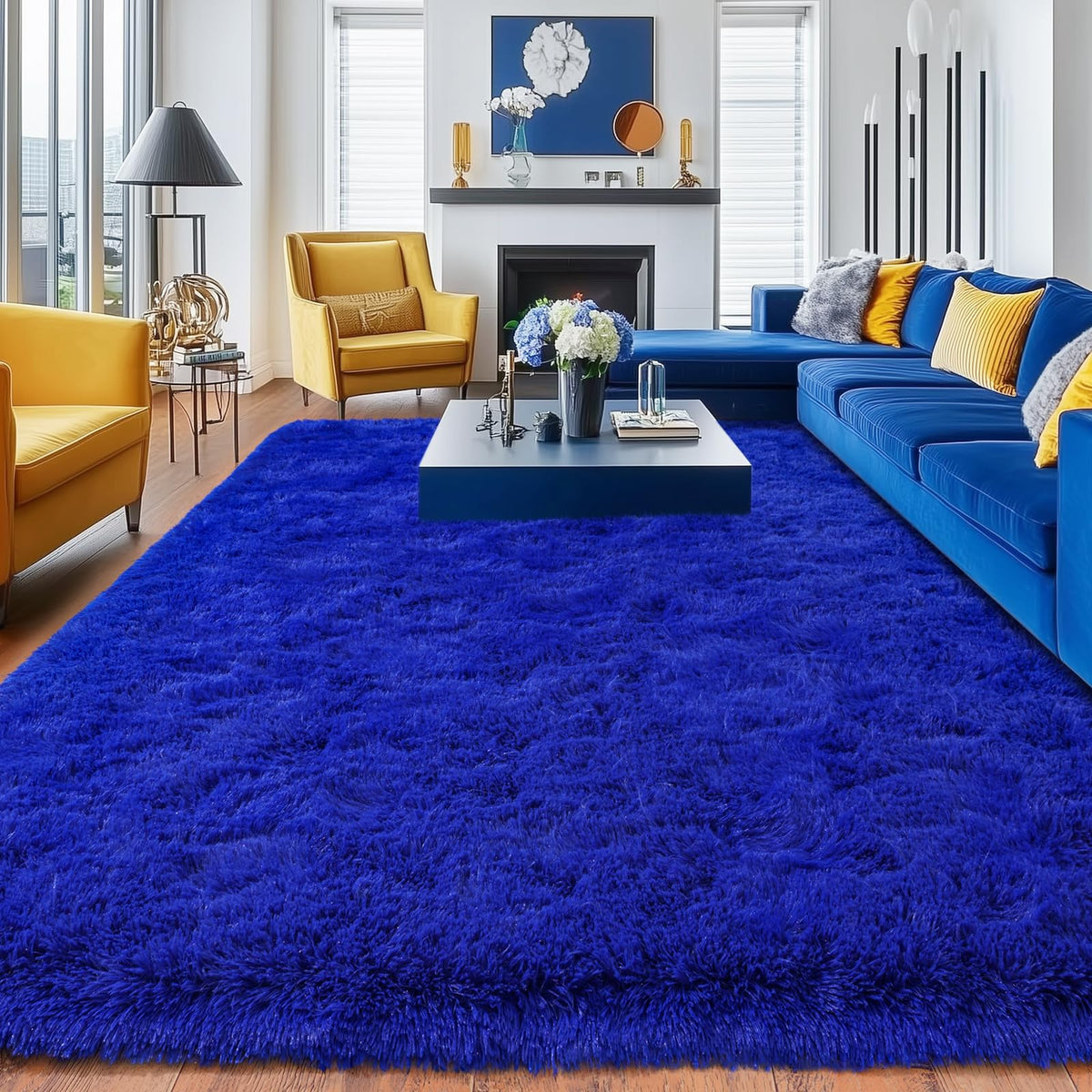 Small Black Area Rug, 2x3 Rug for Bedroom Shaggy Throw Rugs for Dorm Rug, Soft Shag Carpet for Kids Room, Plush Comfy Fluffy Bedside Rug for Home Decor Aesthetic