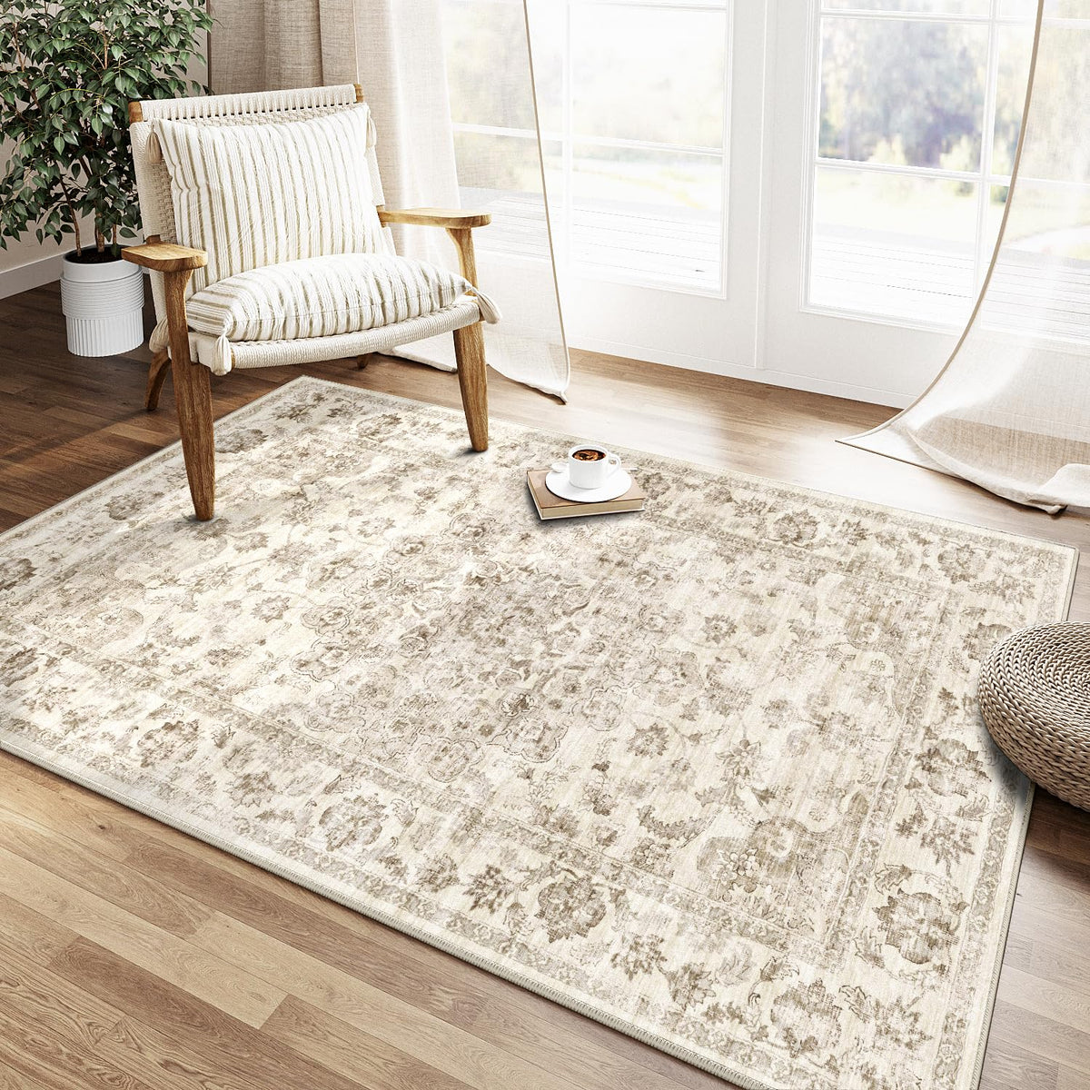 2x3 Beige Neutral Area Rug