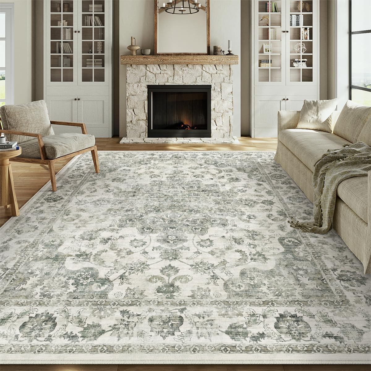 2x3 Beige Neutral Area Rug