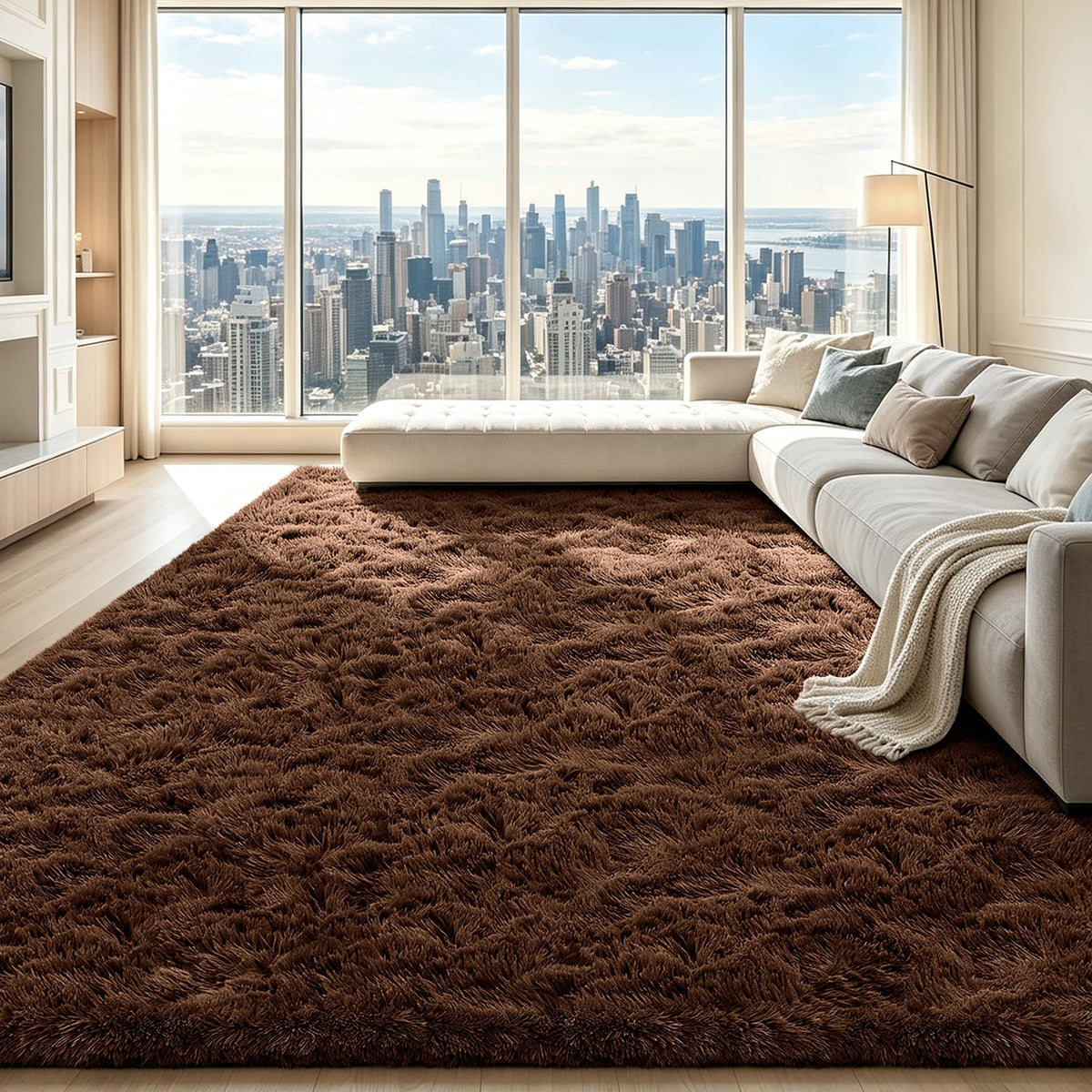 Beige 2x4 Area Rugs for Bedroom, Fluffy Shag Rug Small Rug Bedside Carpet