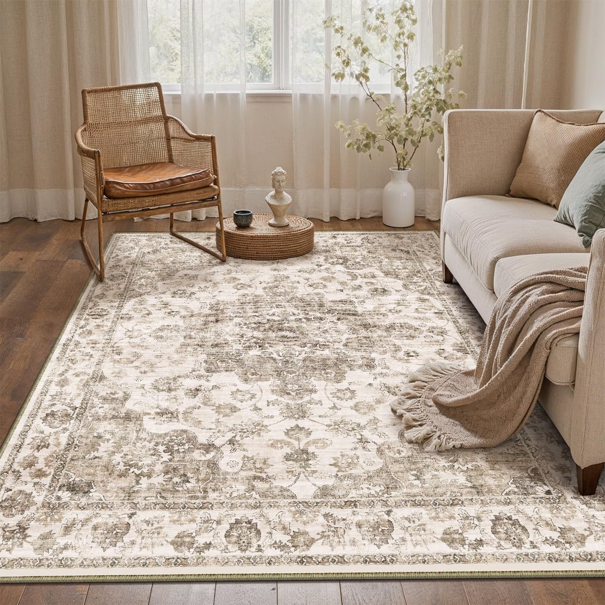 2x3 Beige Neutral Area Rug
