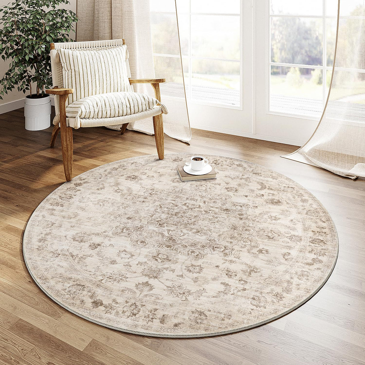2x3 Beige Neutral Area Rug