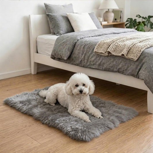 2x3 Area Rug for Bedroom Bedside, Soft Fluffy Plush Thick Rug for Living Room, Non-Slip Small Shag Rug, Non-Shedding High-Pile Indoor Floor Carpet for Kids Room Nursery Dorm Home Decor(Dark Gray)