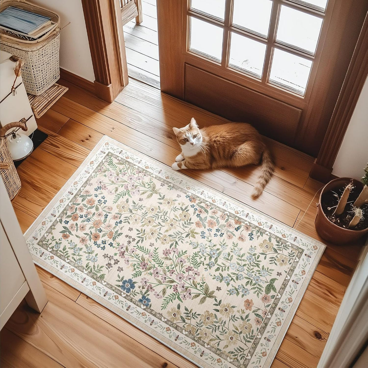 Machine Washable Small Rugs for Entryway: Door Mat Indoor Entrance 2x3 Throw Rug Non-Slip Low Pile Soft Kitchen Rugs for Front Door Indoor Entrance Entry Bedside Kids Room