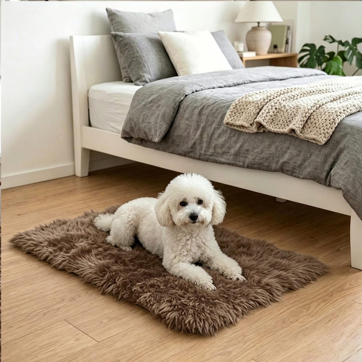 2x3 Area Rug for Bedroom Bedside, Soft Fluffy Plush Thick Rug for Living Room, Non-Slip Small Shag Rug, Non-Shedding High-Pile Indoor Floor Carpet for Kids Room Nursery Dorm Home Decor(Dark Gray)