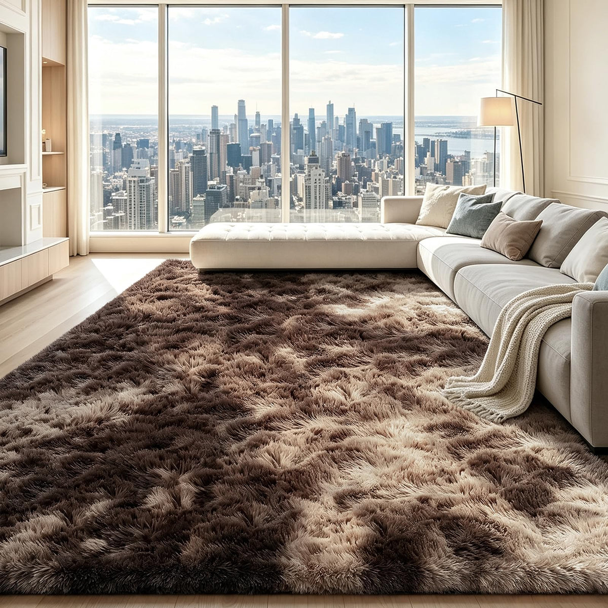 Beige 2x4 Area Rugs for Bedroom, Fluffy Shag Rug Small Rug Bedside Carpet