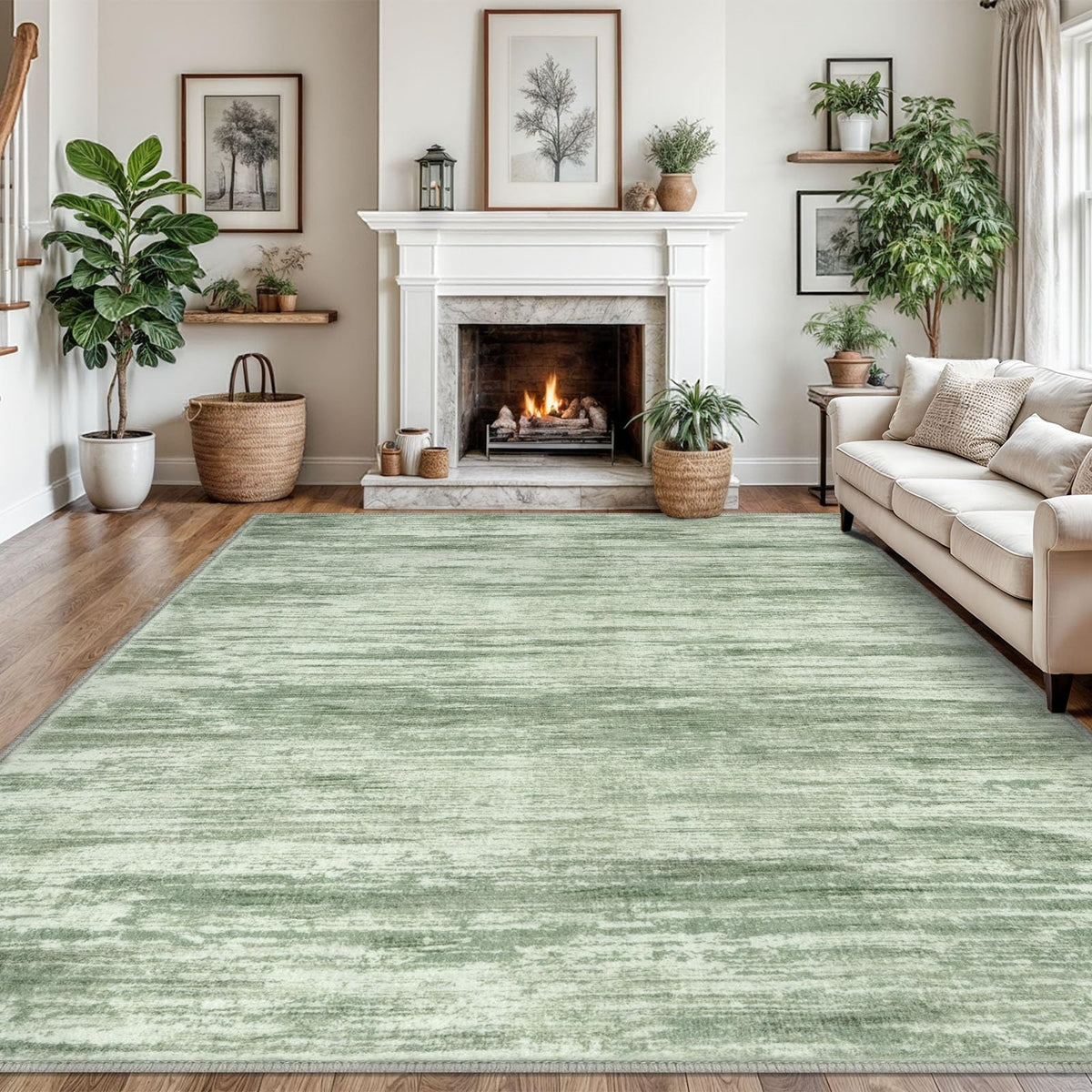 SIILOOM 3x5 Washable Area Rug Non Slip Door Mat Indoor for Entryway Bedside