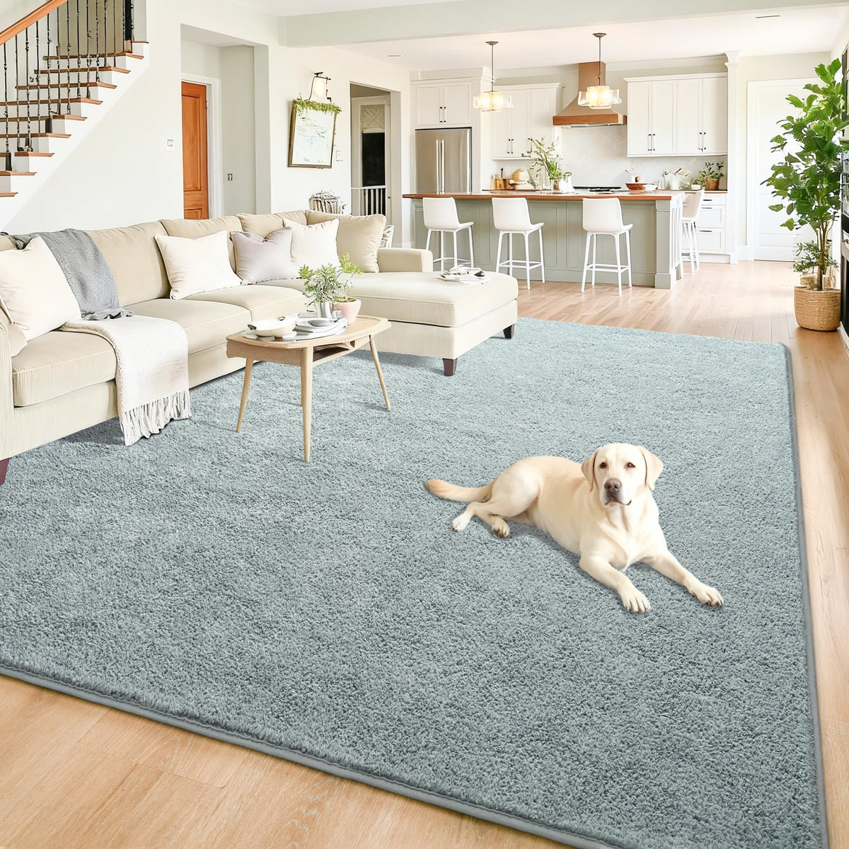 Chicrug Black 2x6 Minimalist Washable Runner Rugs for Hallway Entryway