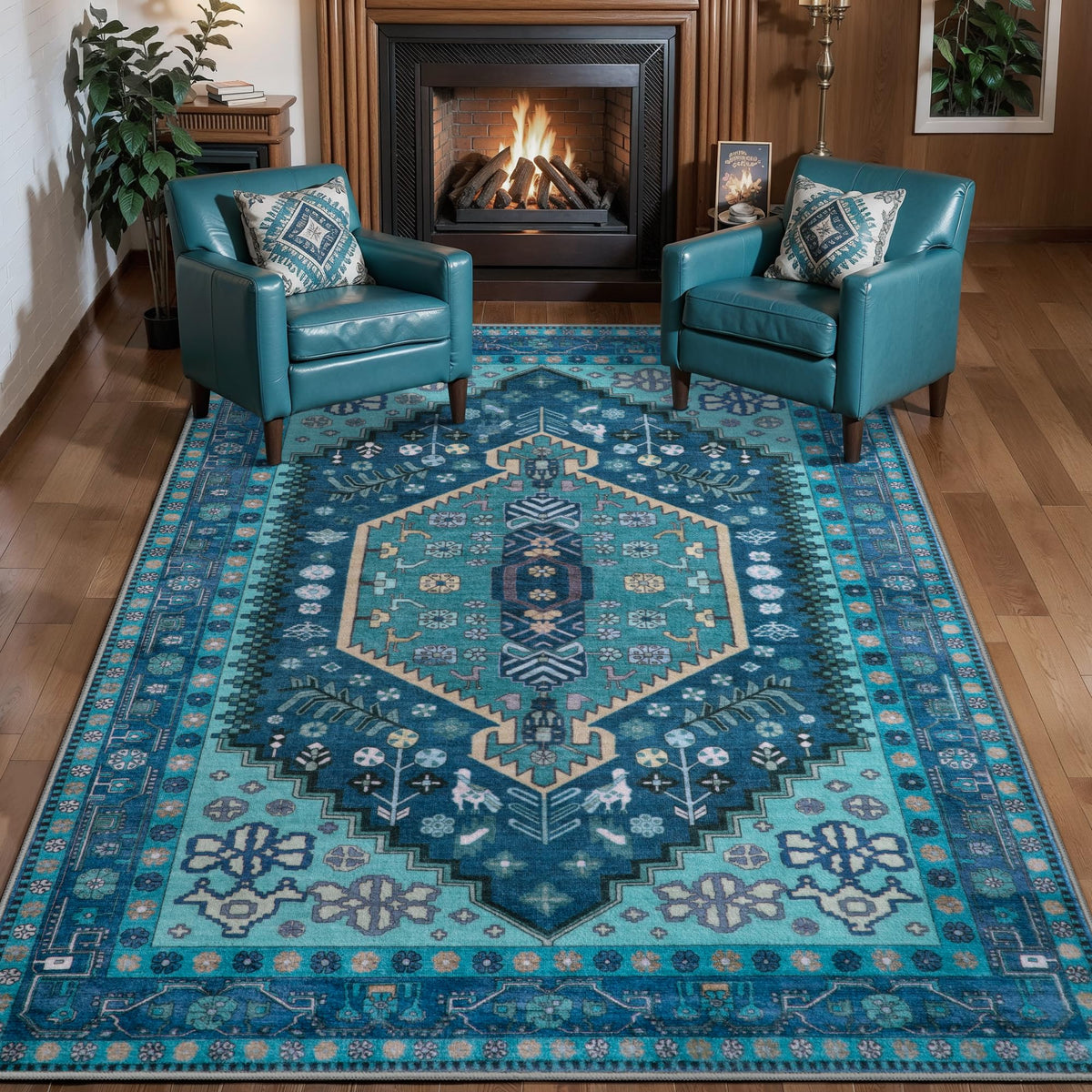 Ciicool Washable 3x5 Area Rug,Boho Non-Slip Indoor Mat for Entryway Kitchen