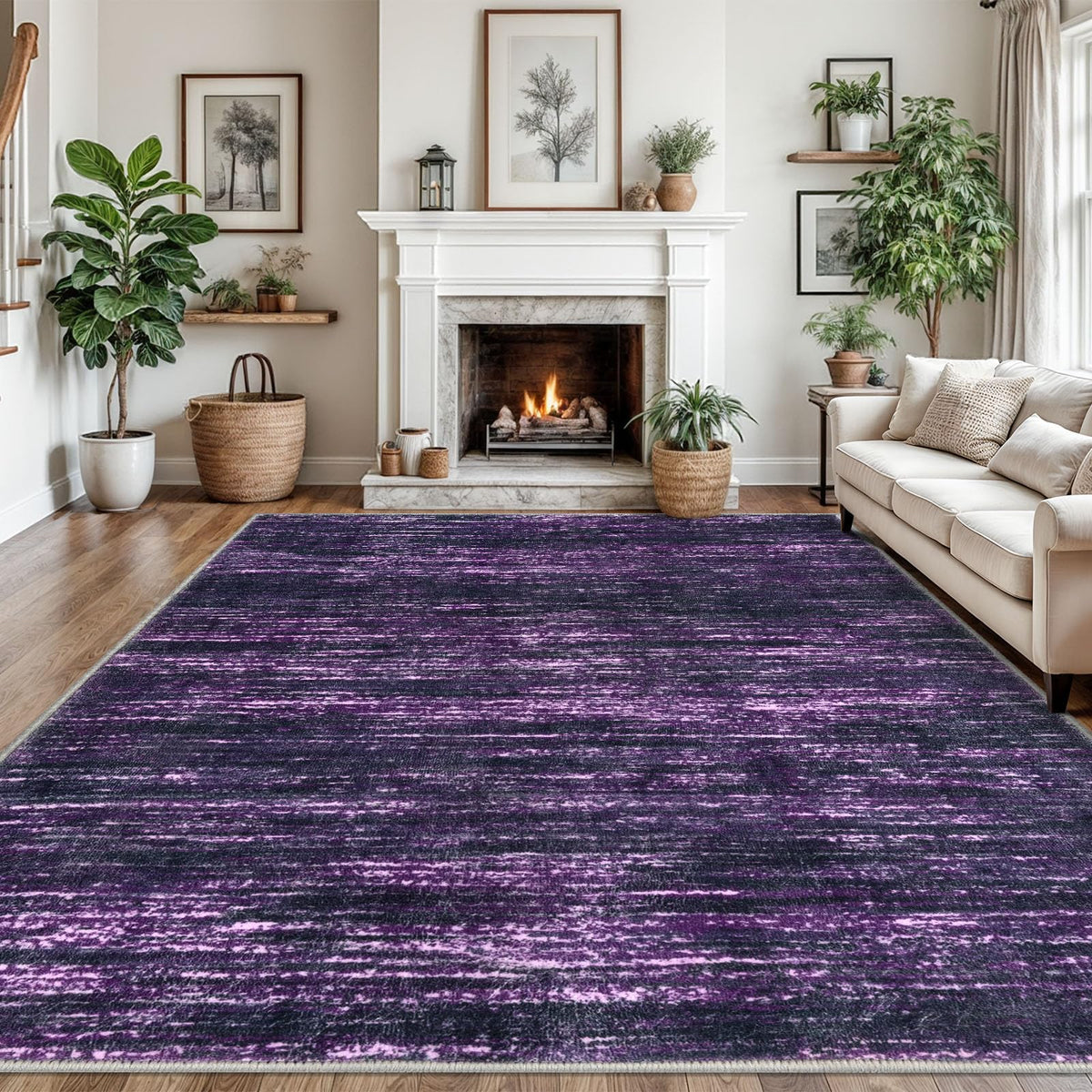 SIILOOM 3x5 Washable Area Rug Non Slip Door Mat Indoor for Entryway Bedside