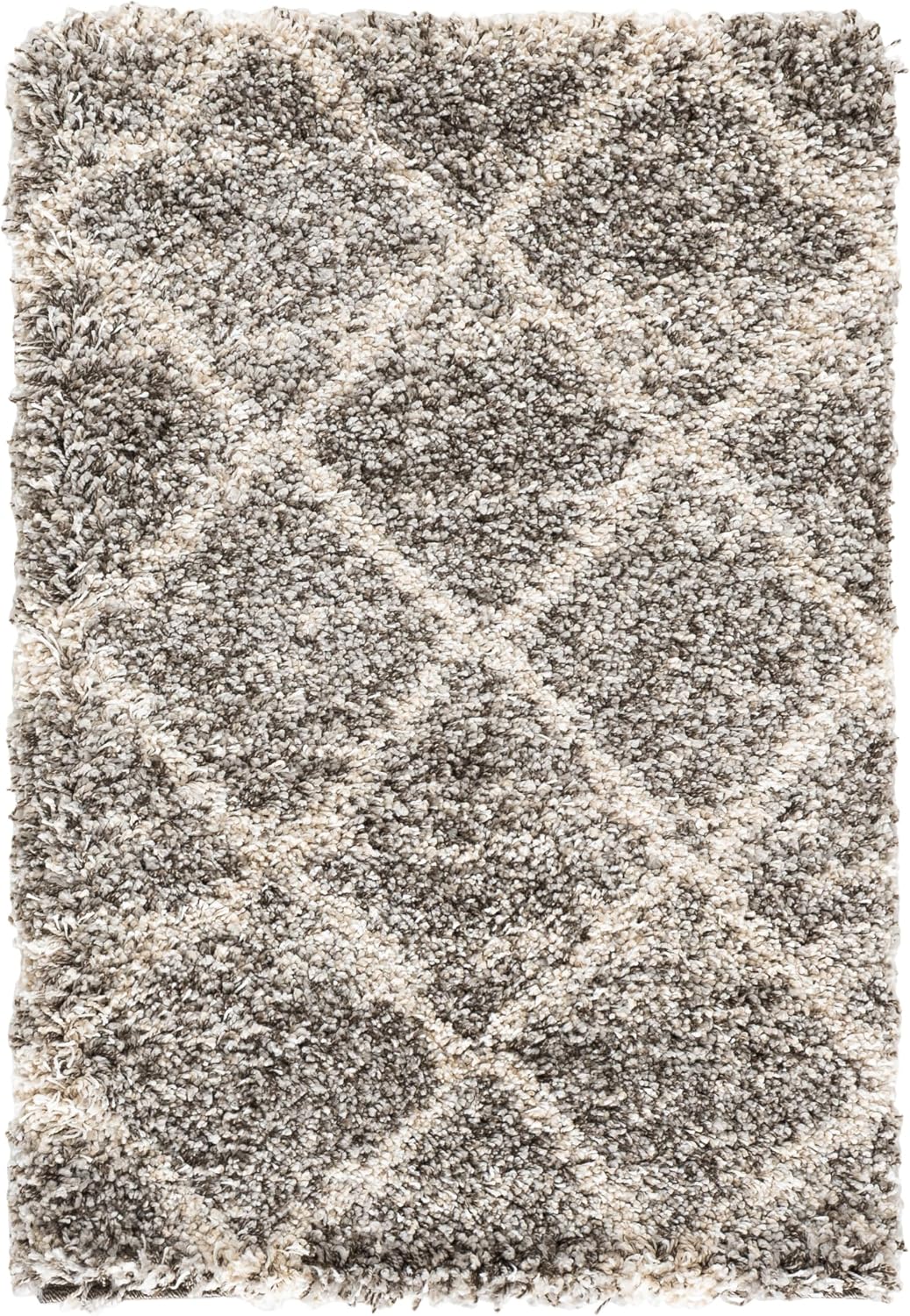 SAFAVIEH Hudson Shag Accent Rug 2'x3', Soft Distressed Grey & Ivory SGH281K