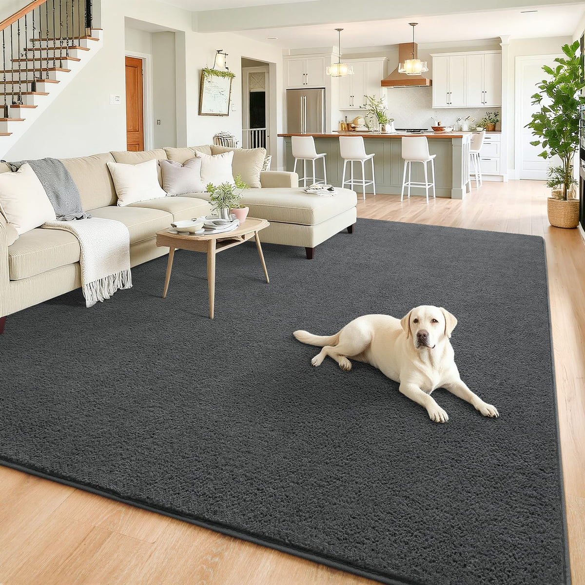 Chicrug Black 2x6 Minimalist Washable Runner Rugs for Hallway Entryway