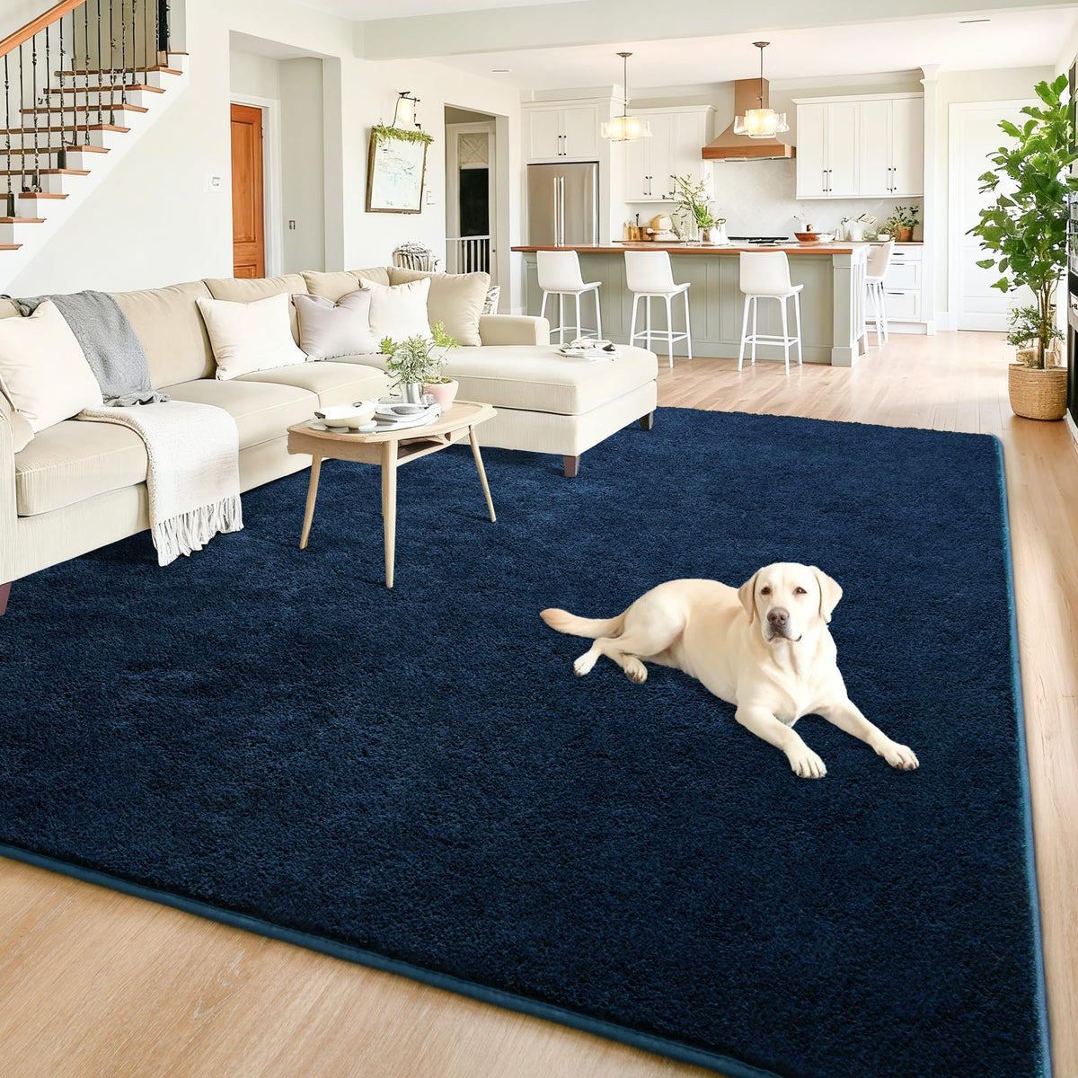 Chicrug Black 2x6 Minimalist Washable Runner Rugs for Hallway Entryway