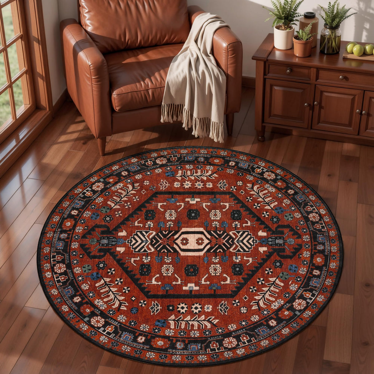 Ciicool Washable 3x5 Area Rug,Boho Non-Slip Indoor Mat for Entryway Kitchen
