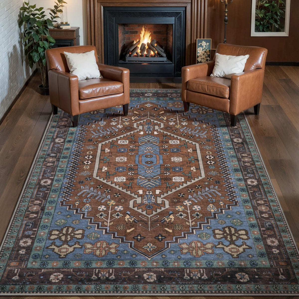 Ciicool Washable 3x5 Area Rug,Boho Non-Slip Indoor Mat for Entryway Kitchen