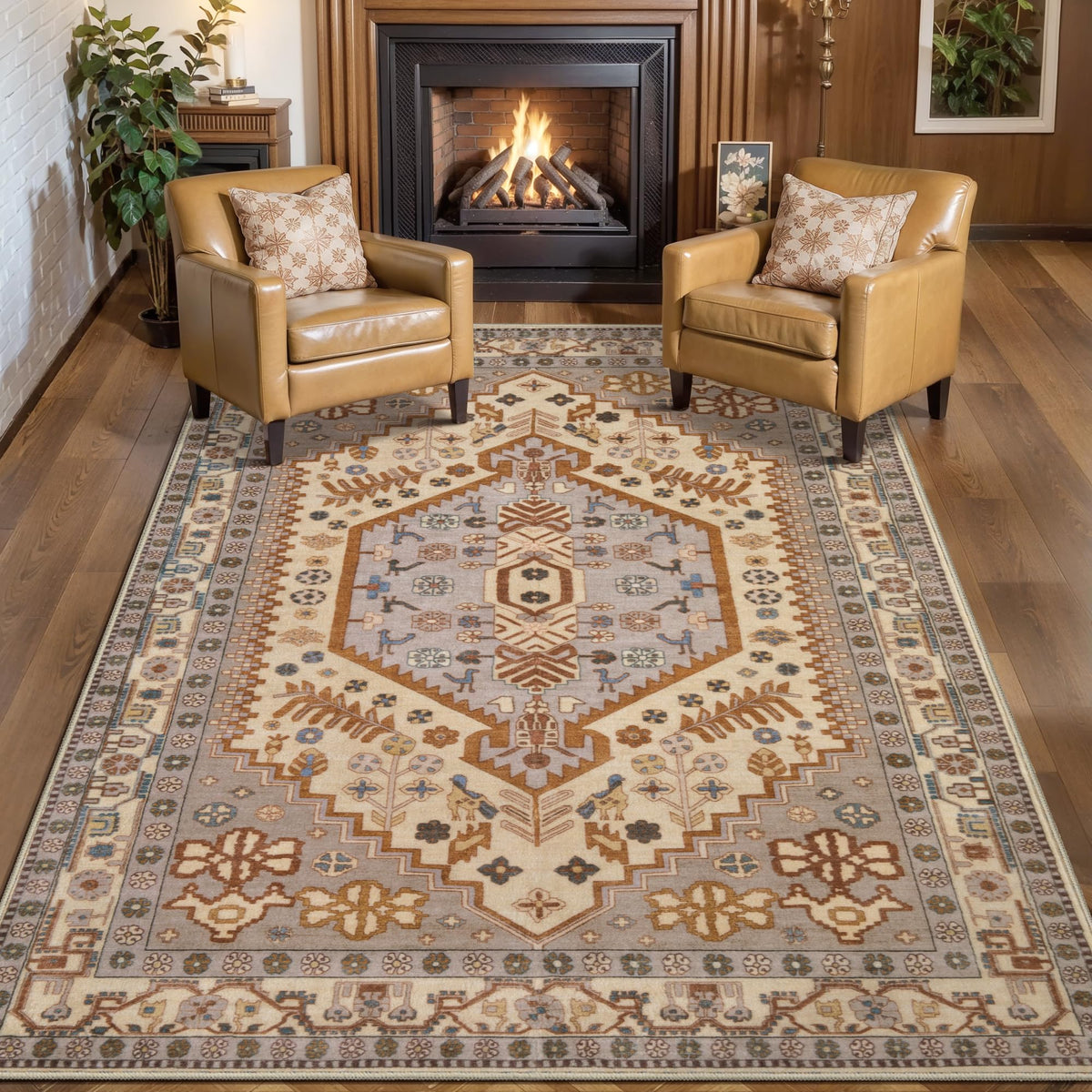Ciicool Washable 3x5 Area Rug,Boho Non-Slip Indoor Mat for Entryway Kitchen