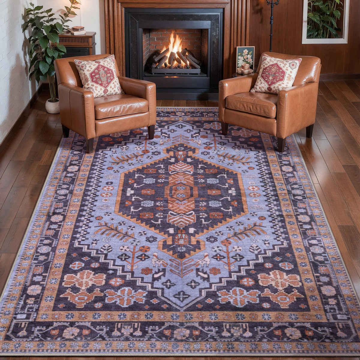 Ciicool Washable 3x5 Area Rug,Boho Non-Slip Indoor Mat for Entryway Kitchen