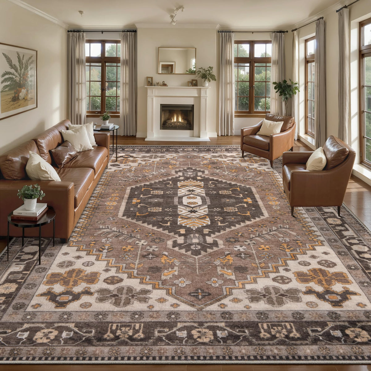 Ciicool Washable 3x5 Area Rug,Boho Non-Slip Indoor Mat for Entryway Kitchen