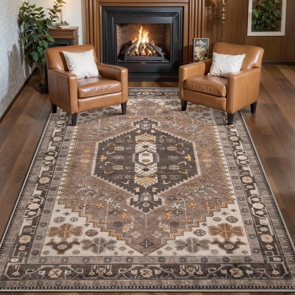 Ciicool Washable 3x5 Area Rug,Boho Non-Slip Indoor Mat for Entryway Kitchen