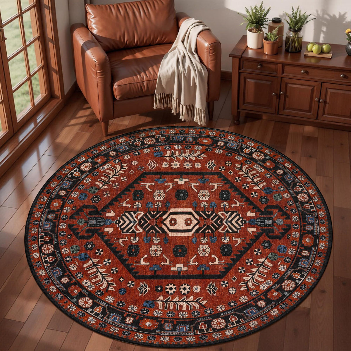 Ciicool Washable 3x5 Area Rug,Boho Non-Slip Indoor Mat for Entryway Kitchen