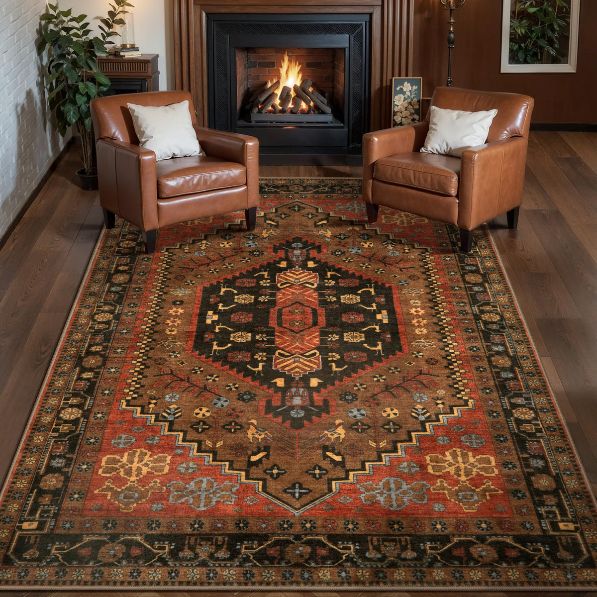Ciicool Washable 3x5 Area Rug,Boho Non-Slip Indoor Mat for Entryway Kitchen