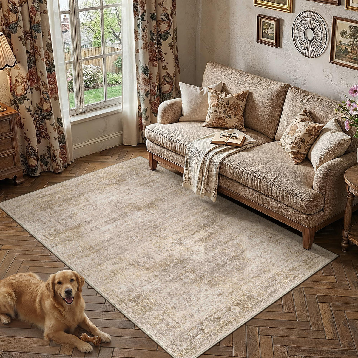 2x3 Beige Neutral Area Rug