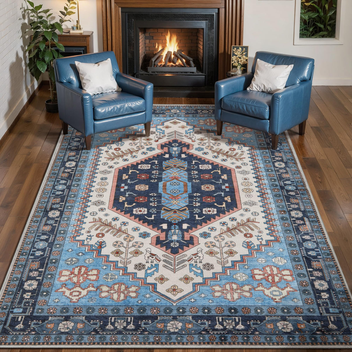 Ciicool Washable 3x5 Area Rug,Boho Non-Slip Indoor Mat for Entryway Kitchen